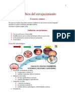 Geriatrica