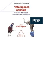 Animal IA Emmanuelle Pouydebat - Lintelligence Animale