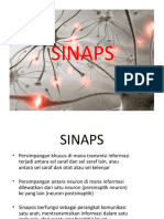 SINAPSIS