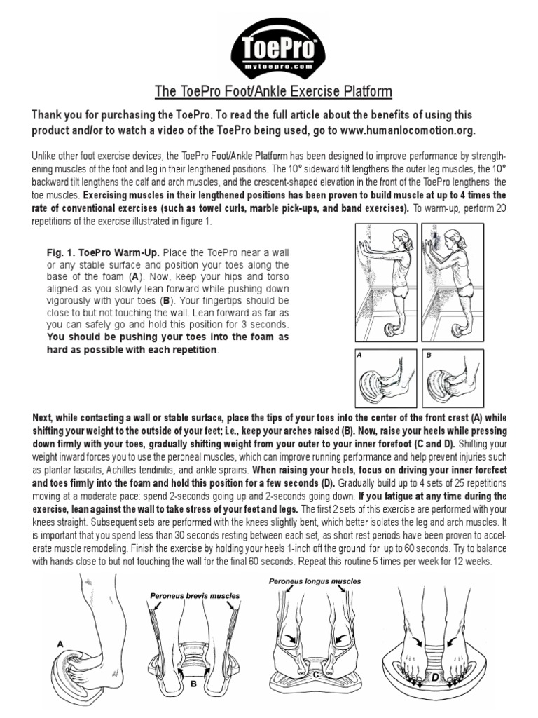 ToePro Foot/Ankle Exercise Guide | PDF | Foot | Toe