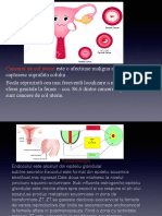 Gineco Cancer PDF