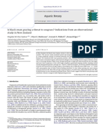 Is Black Swan Grazing A Threat To Seagrass? Indications From An Observational Study in New Zealand