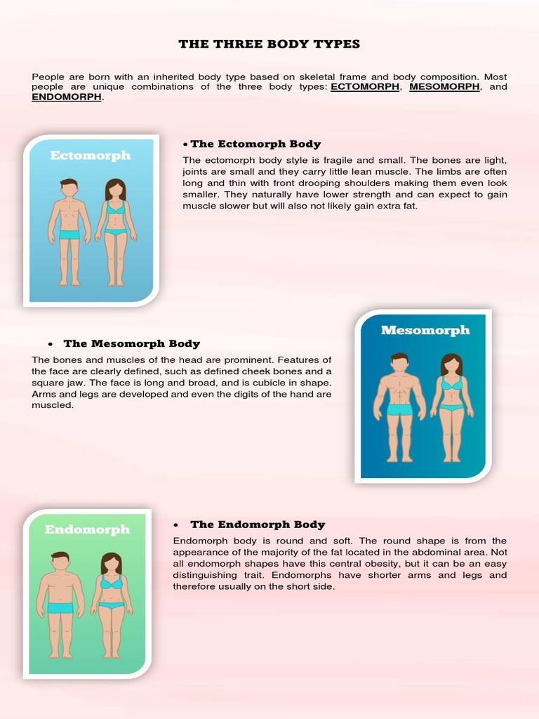 Body Somatotypes & Guidelines of Exercise | PDF | Strength Training ...