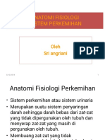 1.2.3. ANFIS II. Anfis Perkemihan1-1