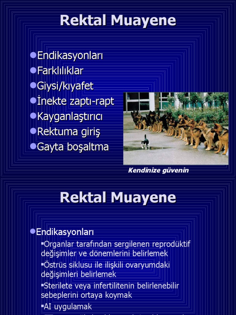 REKTAL MUAYENE 2