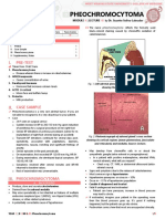 B17M4L4B Pheochromocytoma