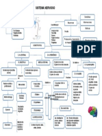 Biologia, Sistema Nervioso Esquema