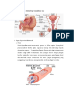 Anatomi Fisiologi Sistem Reproduksi Laki