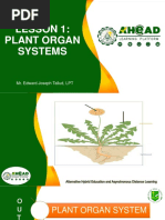 RRL Formatting Guidelines for Research | PDF | Typefaces | Paragraph