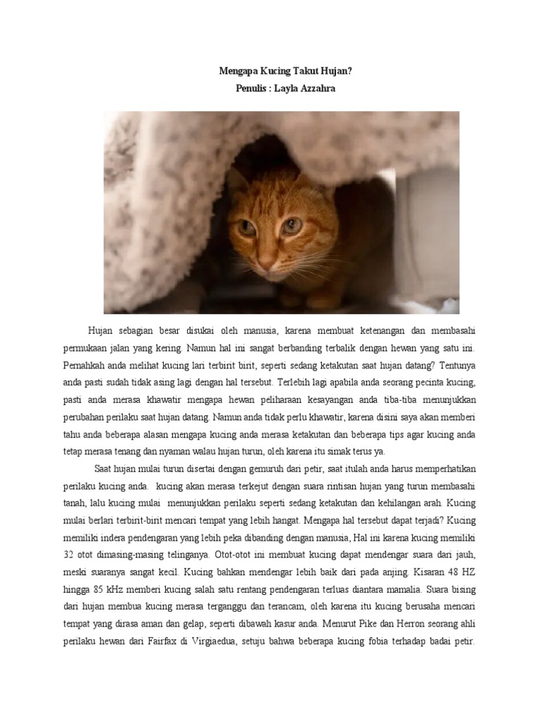 Kbi - Layla Azzahra - 2110427001 - Artikel Draft  PDF