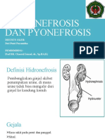 Hidronefrosis Dan Pyonefrosis