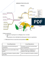 Reproduction in Plants q n A