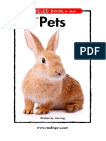 1 - Pets