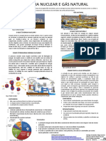 11A1 - BG - Energia Nuclear e Gás Natural - Rodrigo - Fernandes - Tiago - Saraiva - Pedro - Tavares - Anderson - Barros