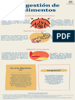 Digestión de Alimentos