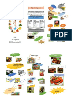 Leaflet Diet Pada Ibu Hamil