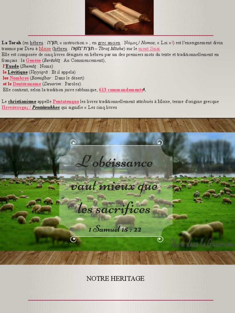 La Torah : Enseignements et Héritage | PDF | Livres sur la Torah | Torah