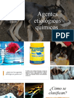 Agentes Etiológicos Químicos