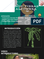 Presentacion - Platanos Fibra para Alfombra