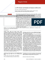 Hemolysis Is A Primary ATP-release Mechanism in Human Erythrocytes