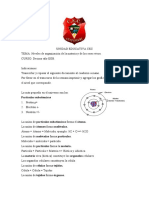 Información Niveles de Organización de La Materia y Los Seres Vivos 10mo EGB