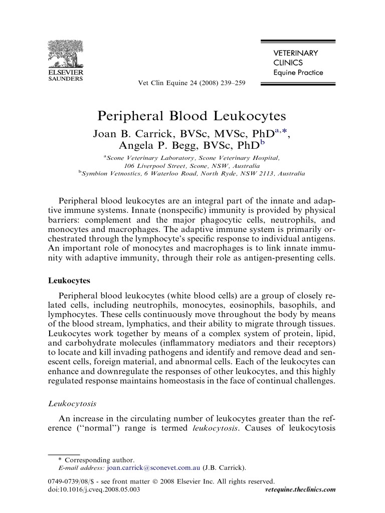 Understanding Peripheral Blood Leukocytes | PDF | T Helper Cell ...