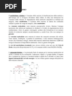 METABOLISMO- RESPIRAZIONE CELL. - FOTOSINTESI-