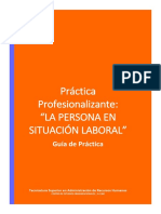 Guía de Práctica Profesionalizante (3)
