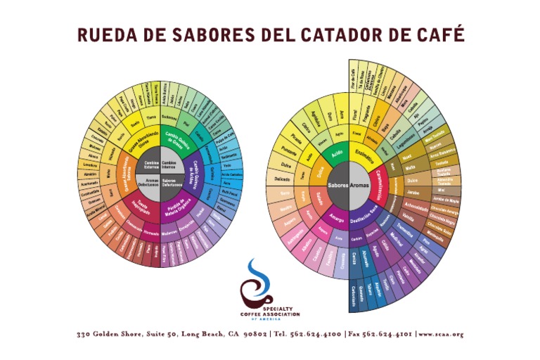 Rueda de Sabores SCAA | PDF