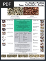 SCAA Arabica Green Coffee Defect Guide | PDF | Coffee | Nature