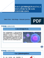 Las Citoquinas y Quimioquinas en La Respuesta Inmune de Los Vertebrados