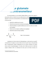 Le Glutamate Neurotransmetteur: Acide Aminé Synthétisé Par Le Corps Lui-Même