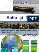 Balta Si Lacul