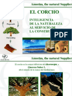 Corcho natural inteligencia construcción