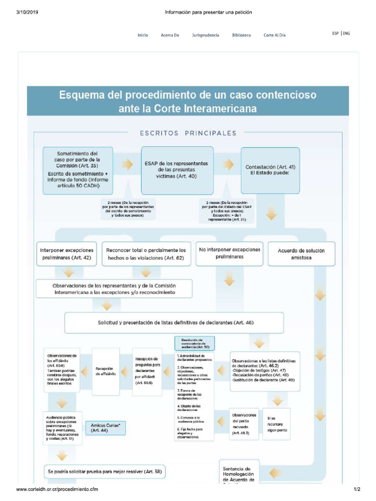 Esquema Del Proceso Ante La Corte Idh | PDF