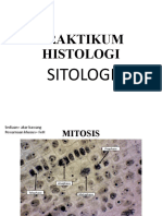 Sitologi