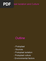 Download Protoplast isolation n culture and somatic hybrid by Gajanan Saykhedkar SN52979686 doc pdf