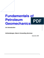 Petroleum Geomechanics