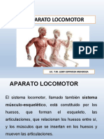 APARATO LOCOMOTOR