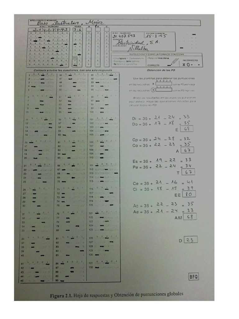 BFQ Ejemplo | PDF