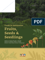 Amazonian Fruits Seeds