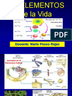 Biomoleculas 