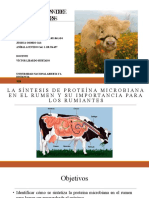 Tarea 4 - Sustentación.