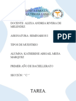 Tarea 3 de Seminario Cuarto Periodo Tipos de Muestreo