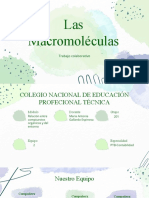 Las Macromoléculas