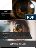 Percepção Sensorial Do Olho