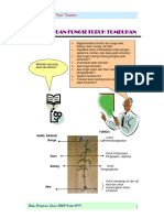 Bab. 1-VIII Struktur Dan Fungsi Tubuh Tumbuhan (Sisca)