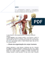 O Funcionamento Do Corpo Humano