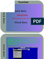 Visual Basic