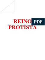 Reino Protista